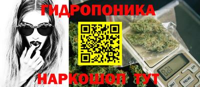 mdma Камышлов