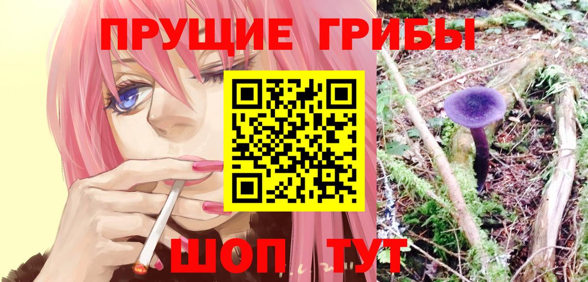 Псилоцибиновые грибы MAGIC MUSHROOMS Дальнереченск