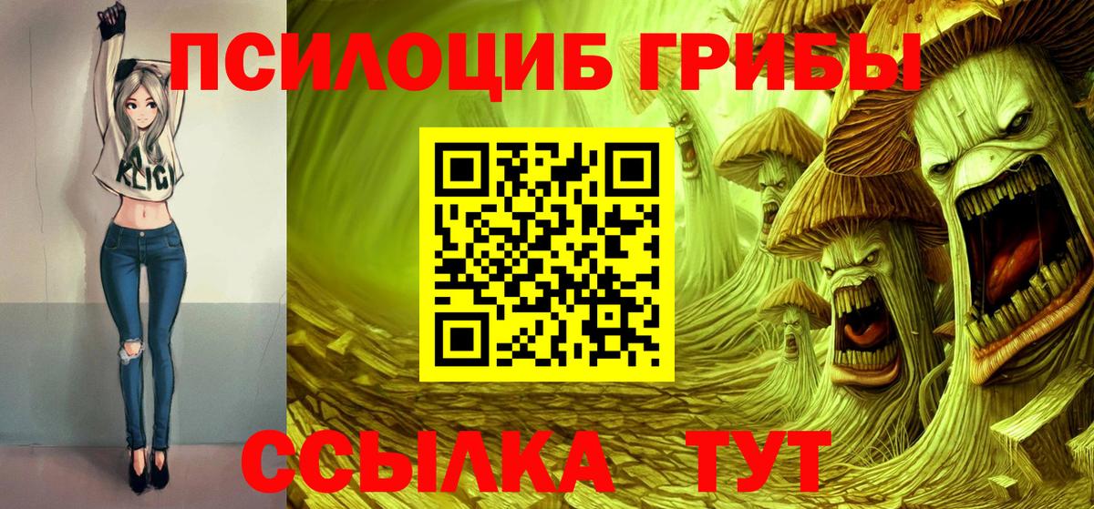 Галлюциногенные грибы Psilocybine cubensis  Вход с VPN  закладки  Дальнереченск  Галлюциногенные грибы ЛСД 